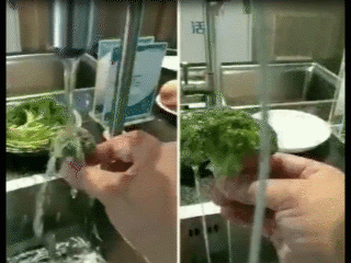 1559608459182500.gif 微信圖片_20190604082114.gif