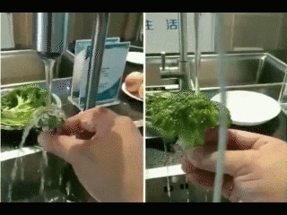 1560385518166848.gif 微信圖片_20190613082414.gif