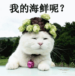 1560471603133183.gif 微信圖片_20190614081701.gif