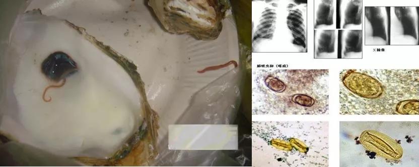 1560471772993229.jpg 微信圖片_20190614081708.jpg