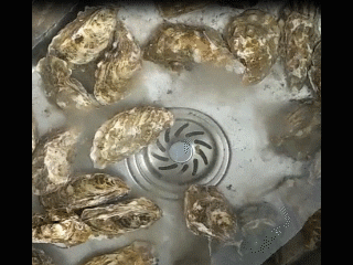 1560471928209473.gif 微信圖片_20190614081741.gif