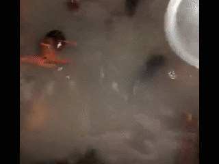 1560472057800999.gif 微信圖片_20190614081737.gif