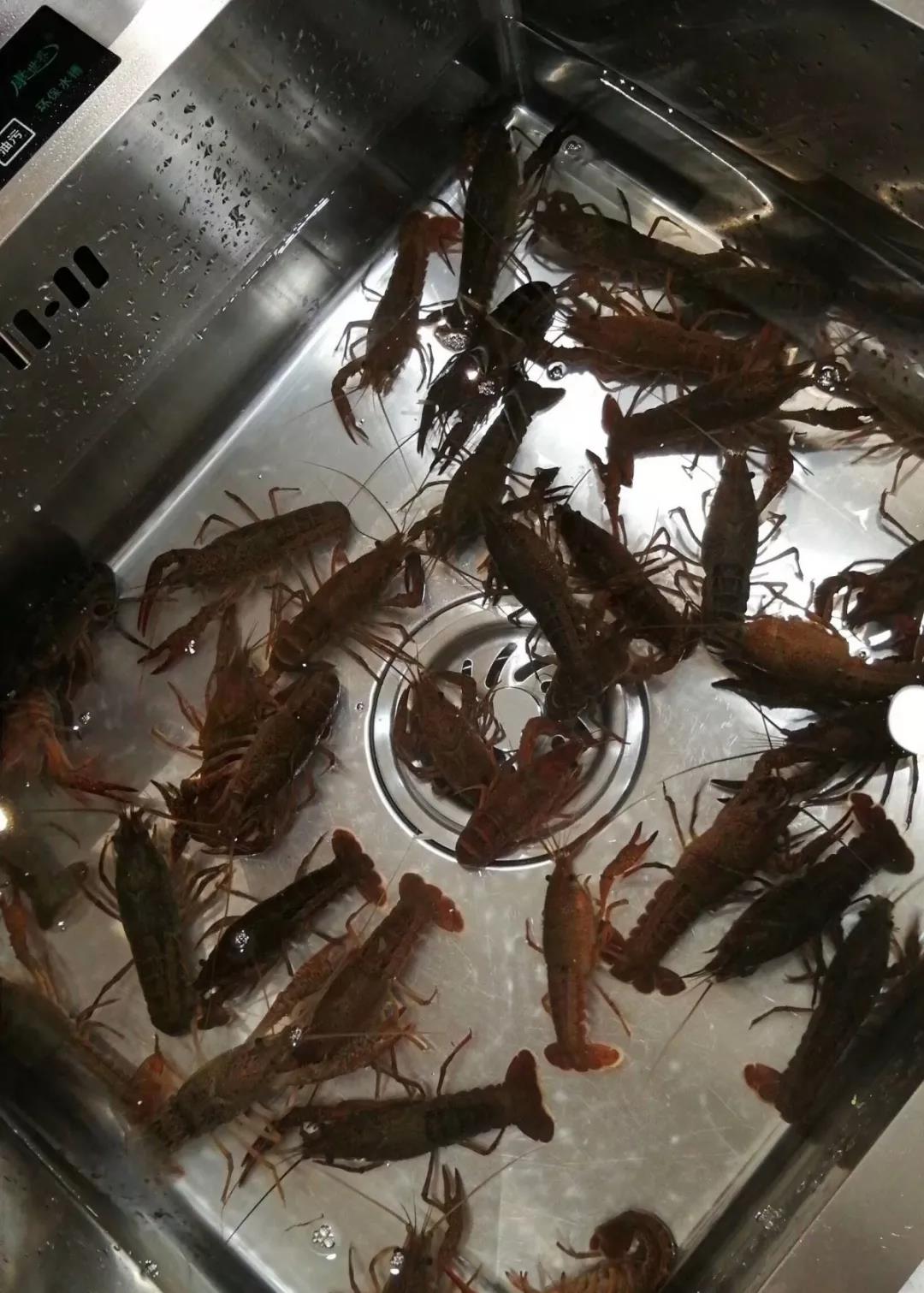 1560562139227901.jpg 微信圖片_20190615084454.jpg