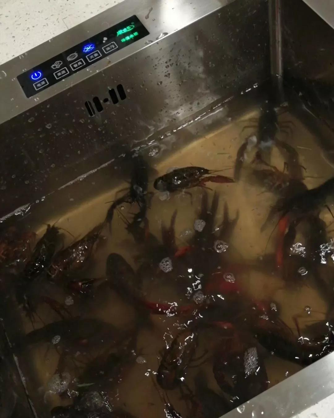 1560563329876385.jpg 微信圖片_20190615084457.jpg