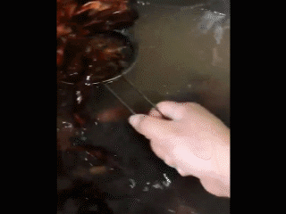 1560563437105956.gif 微信圖片_20190615084501.gif