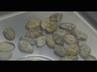 1561077636159992.gif 微信圖片_20190621083848.gif