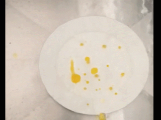 1561077658122934.gif 微信圖片_20190621083855.gif