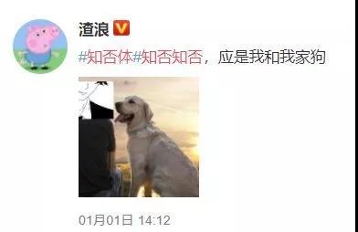 1562116840153118.jpg 康世界 (3).jpg