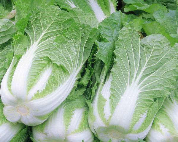 1562548322767009.jpg timg.jpg