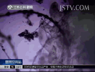 1562741253152545.gif 640 (2).gif