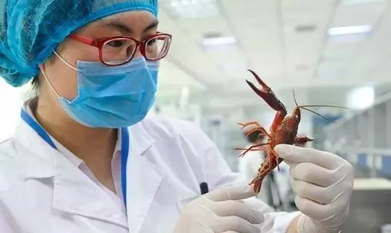 1562741326108005.png 微信圖片_20190710144755.png