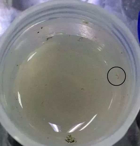 1562741400313784.png 微信圖片_20190710144825.png