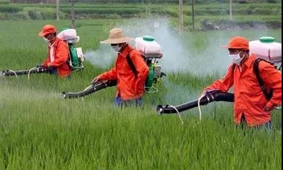 1563326735590418.jpg 康世界 (4).jpg