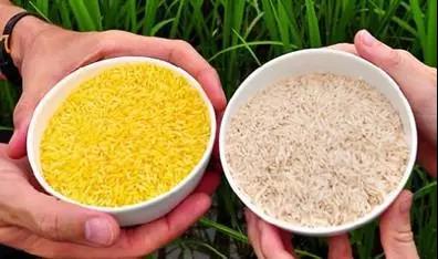 1563582380210553.jpg 康世界 (3).jpg