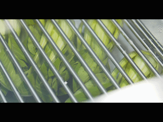 1564365963209987.gif 康世界 (2).gif