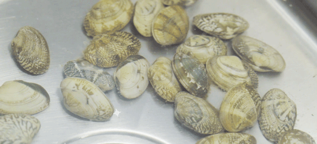 1565236625127939.gif 康世界 (3).gif