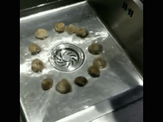 1566439055117956.gif 康世界 (2).gif